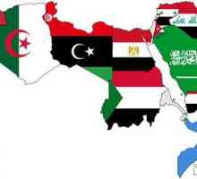 Țările arabe. Palestina, Iordania, Irak