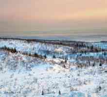 Arhanghelsk - ce parte din Rusia? Scurtă descriere a orașului. Conceptul de "nordul…