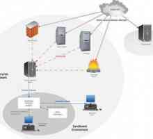 Arhitectura rețelei. Structura rețelei și a echipamentelor de transmisie de date