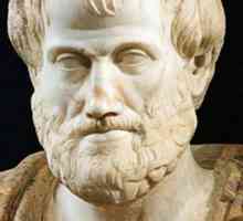 Aristotel, ontologie: descriere, esență și înțeles. Ontologia și logica lui Aristotel