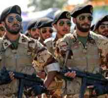 Armata iraniană: Istorie și modernitate