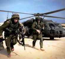 Armata Israelului. Forțele armate ale statului