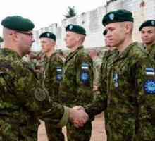Armata estoniană: fotografie, putere și armament