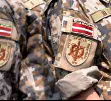 Armata Letoniei: forță și armament