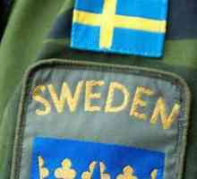 Armata Suediei: forță, echipament, fotografii