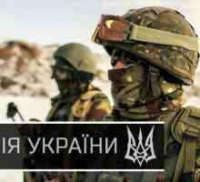 Armata Ucrainei: forță și armament