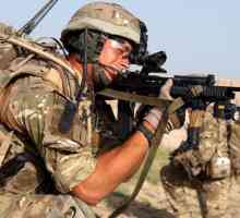 Armata Marii Britanii: principalele tipuri de trupe, structură și funcții