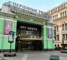 Art-centru în Perinnye ryadakh: adresa. Săli de expoziție din Sankt-Petersburg