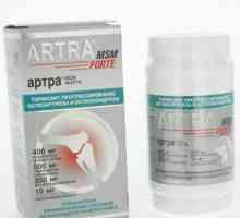 `Artra MSM Forte`: instrucțiuni și referințe