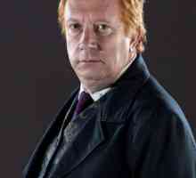 Arthur Weasley este instructorul spiritual al lui Harry Potter. Actorul care a jucat pe Arthur…