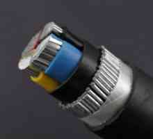 Cablu ASB: caracteristică, preț, decodare