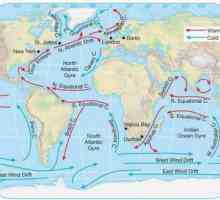 Oceanul Atlantic: curenții și caracteristicile acestora