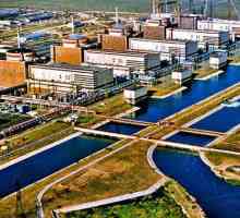 Energia nucleară: cea mai mare fabrică nucleară din Rusia