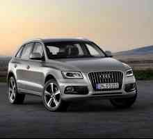 `Audi KU5`: comentarii de proprietari, fotografii, caracteristici tehnice