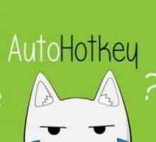 AutoHotKey: cum se utilizează? AutoHotKey: cum se atribuie cheile mouse-ului. Sfaturi de specialiști