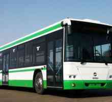 Autobuz GOLAZ 5251, 6228: specificații și fotografii