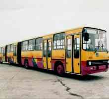 Autobuzul Iqarus-293: specificații și fotografii