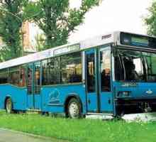 Autobuzul MAZ 103, 105, 107, 256: specificațiile modelelor