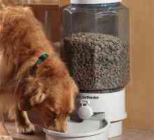 Alimentatoare automate pentru câini: caracteristici ale dispozitivului și funcționare. Cum sa faci…