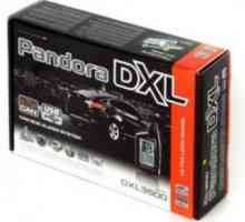 Car alarmă Pandora DXL 3500: descriere, specificații și recenzii
