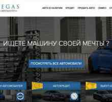 Pegasus Motor Show, Moscova: recenzii clienți