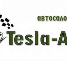 Tesla Auto Show Auto: recenzii, promoții, împrumuturi, oferte speciale