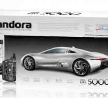 Car alarmă Pandora 5000: instalare, preț, recenzii
