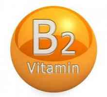 Vitamina B2 în care sunt conținute alimentele? Care este rata zilnică?