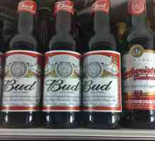 `Bud `- bere a tradițiilor americane, istoria și trăsăturile sale