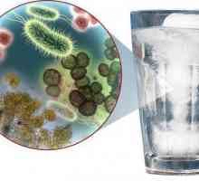 Bacterii coliforme în apă. Coliforme termorezistente