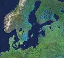 Baltic Shield: formă de relief, structură tectonică și minerale
