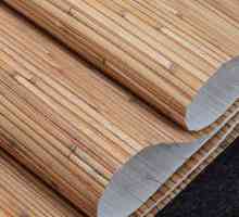Bamboo tapet în interior: fotografie, cum să lipici?