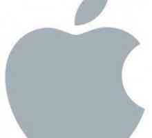 Bara de protecție pentru iPhone 6: Trebuie să-l cumpăr? Draco Bara de protecție