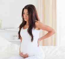 Bandaj pentru femeile gravide: pentru cât timp să poarte, reguli și recomandări