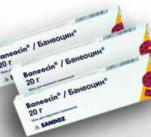 "Baneocin": analogi. `Baneotsin`: aplicație, feedback, decât înlocuire