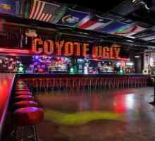 Bar `Coyote Ugly`: despre instituție, caracteristici, recenzii