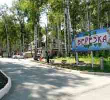 Satul de vacanță `Birch `(Uvildy, regiunea Chelyabinsk) - poze și recenzii