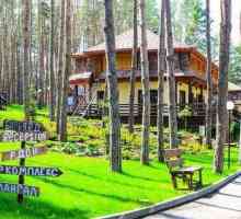 Centrul de recreere `Don Forest`, regiunea Lipetsk: fotografii și recenzii