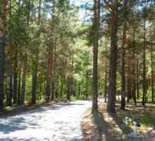 Satul de vacanță "Pădurile pădurilor" (Tyumen): descriere și recenzii
