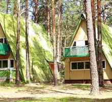 Complexul de vacanță `Sosnovy Bor` (Lipetsk): descriere