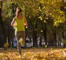 A alerga pentru pierderea în greutate: cât de mult ar trebui să alergi? Creați un program de…