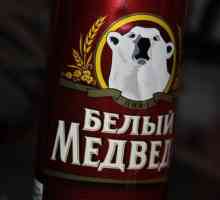 `Polar Bear` - bere cu caracter bun