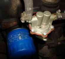 Pompă de benzină VAZ-2106: instalare, reglare, reparații