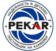 Pompe de benzină `Pekar`: caracteristici și recenzii. Compararea modelelor