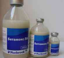 "Betamox" sau "Betamax"? Instrucțiuni pentru utilizarea medicamentului…