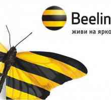 Beeline Bonus: cum să utilizați? Care este Bonusul Beeline?