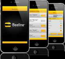 `Beeline`, Internet: recenzii, tarife. Acasa Internet `Beeline`:…