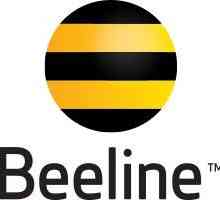 `Beeline Smart 2`: comentarii despre smartphone-ul, descrierea, prețul