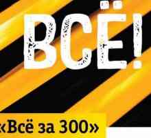 Beeline, tariful "Toate pentru 300": recenzii, descriere, conexiune