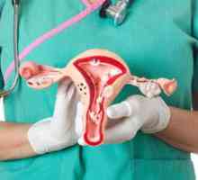 Examen bimanual în ginecologie: indicații, particularități ale procedurii